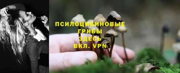 крисы Лагань