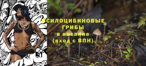 крисы Лагань
