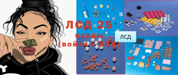 крисы Лагань