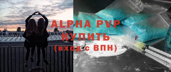 крисы Лагань