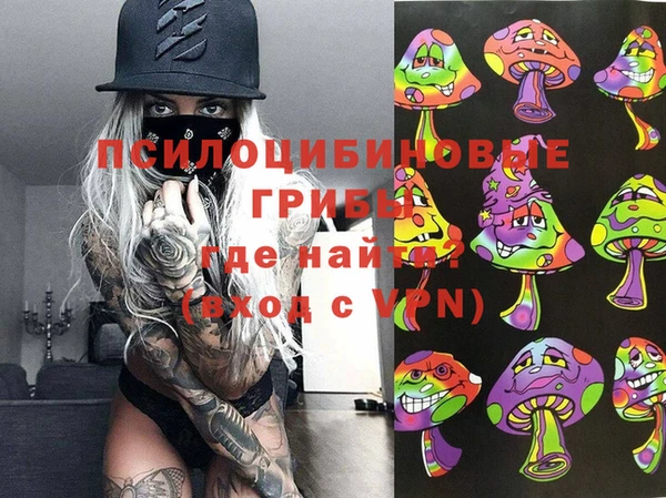 мескалин Лабытнанги