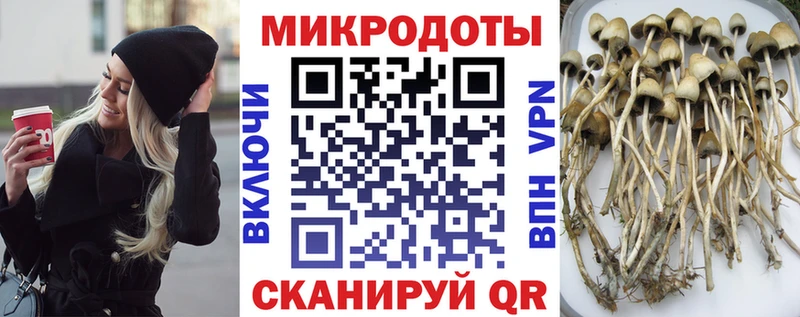 Псилоцибиновые грибы Psilocybine cubensis  купить   Северодвинск 