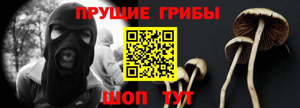 Галлюциногенные грибы прущие грибы  Вход с VPN  Псилоцибиновые грибы Psilocybine cubensis  Северодвинск 